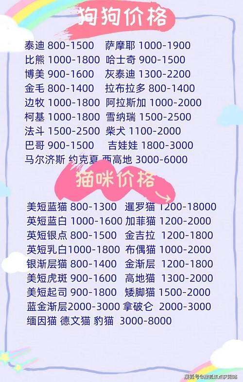 萨摩耶狗狗多少钱一只,萨摩耶犬多少钱一只?-第5张图片-后鲨宠物 萨摩耶狗狗多少钱一只,萨摩耶犬多少钱一只?-第5张图片-后鲨宠物