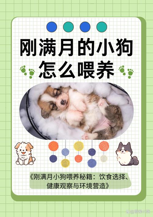 一个月狗狗如何喂食,一个月狗狗怎么喂狗粮-第1张图片-后鲨宠物 一个月狗狗如何喂食,一个月狗狗怎么喂狗粮-第1张图片-后鲨宠物