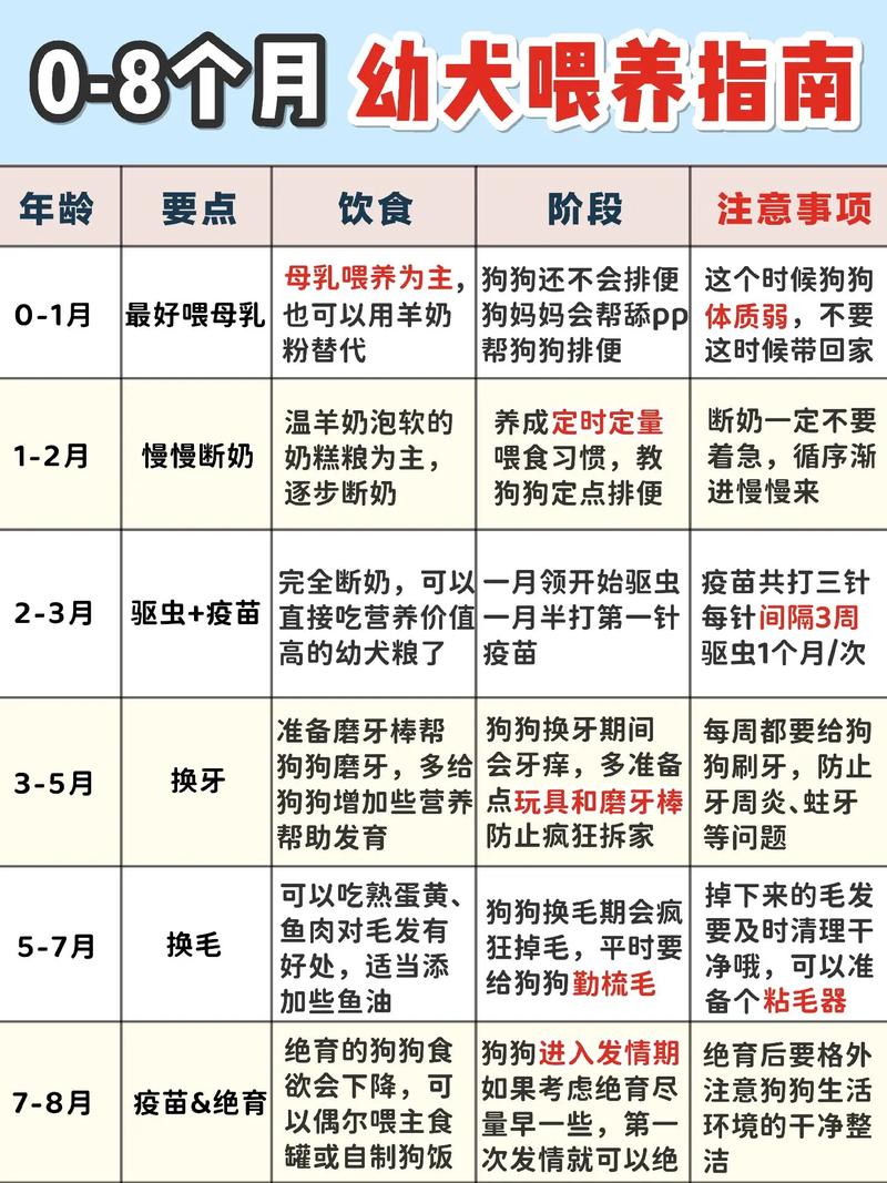 一个月狗狗如何喂食,一个月狗狗怎么喂狗粮-第2张图片-后鲨宠物 一个月狗狗如何喂食,一个月狗狗怎么喂狗粮-第2张图片-后鲨宠物