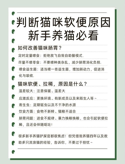 益生菌对猫咪的作用，猫益生菌有用吗？-第3张图片-后鲨宠物