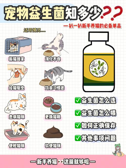 益生菌对猫咪的作用，猫益生菌有用吗？-第4张图片-后鲨宠物
