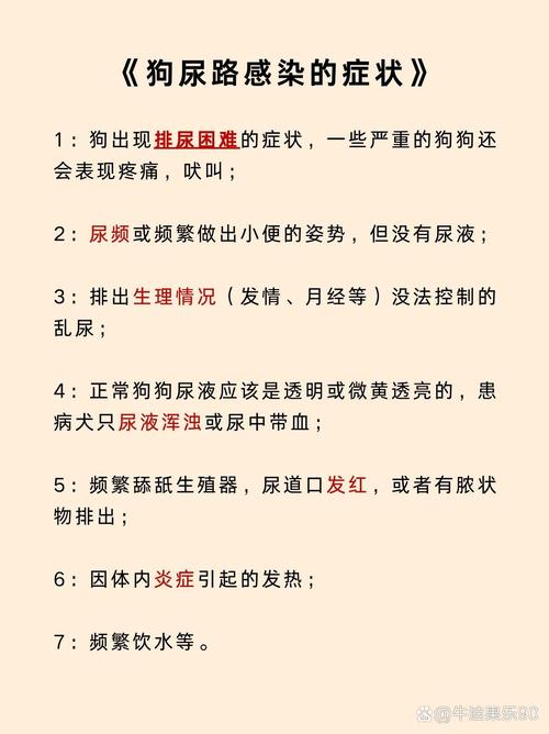 狗狗尿很臭怎么回事_狗狗尿特别臭-第3张图片-后鲨宠物 狗狗尿很臭怎么回事_狗狗尿特别臭-第3张图片-后鲨宠物
