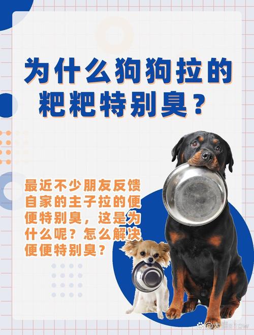 狗狗尿很臭怎么回事_狗狗尿特别臭-第4张图片-后鲨宠物 狗狗尿很臭怎么回事_狗狗尿特别臭-第4张图片-后鲨宠物