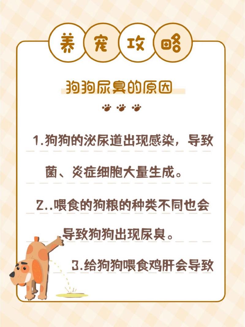 狗狗尿很臭怎么回事_狗狗尿特别臭-第5张图片-后鲨宠物 狗狗尿很臭怎么回事_狗狗尿特别臭-第5张图片-后鲨宠物
