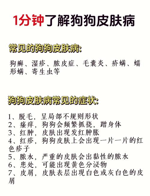 怎么预防狗狗皮肤病_怎么预防狗狗皮肤病复发-第5张图片-后鲨宠物 怎么预防狗狗皮肤病_怎么预防狗狗皮肤病复发-第5张图片-后鲨宠物