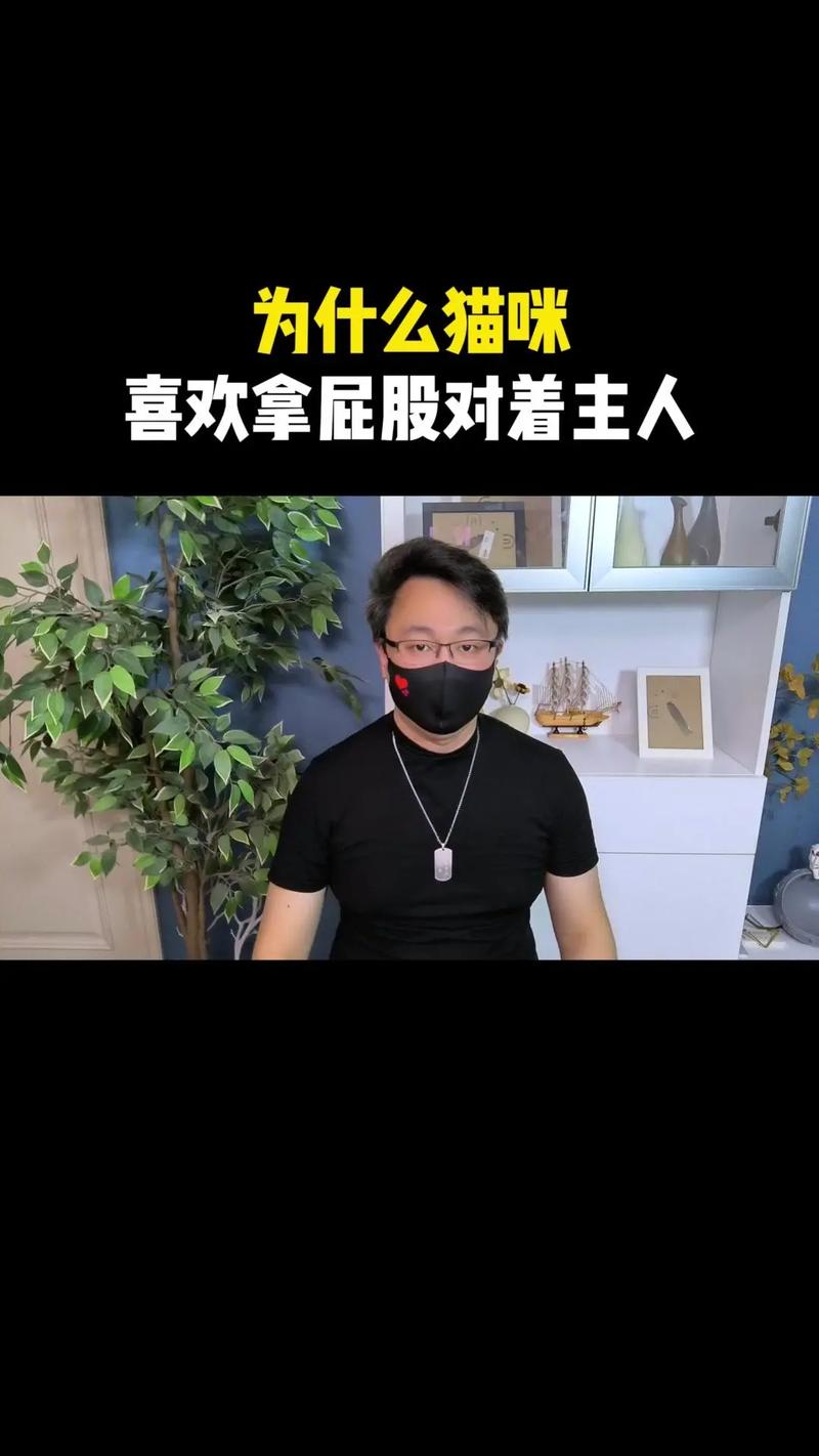 猫猫屁股对着我,猫屁股对着你是为什么-第4张图片-后鲨宠物 猫猫屁股对着我,猫屁股对着你是为什么-第4张图片-后鲨宠物