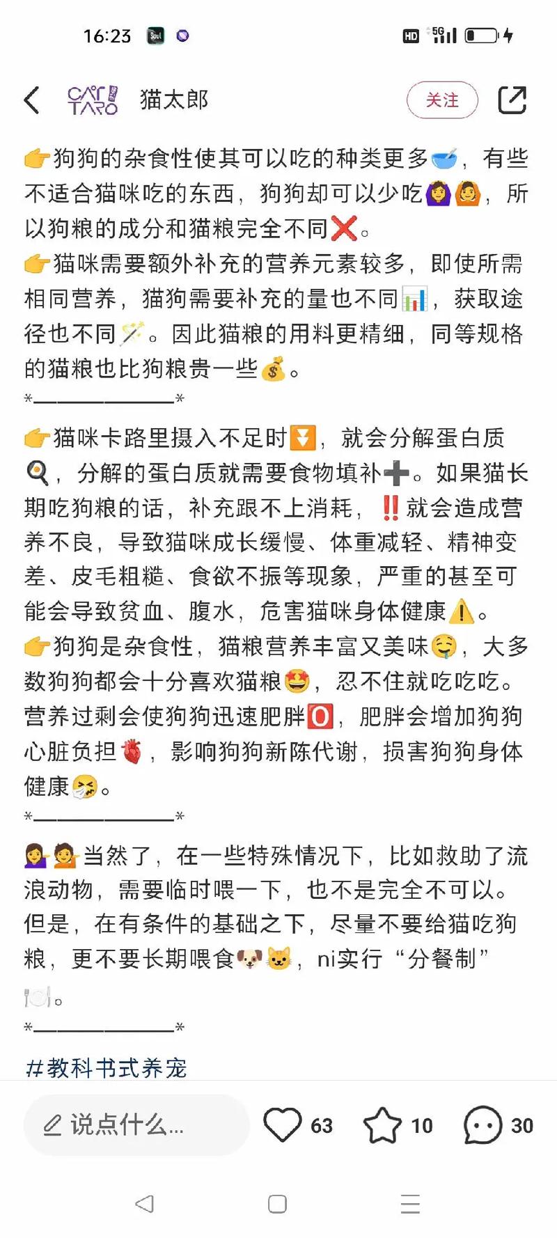 猫猫可以吃狗粮吗_猫可以吃狗粮狗可以吃猫粮吗-第3张图片-后鲨宠物