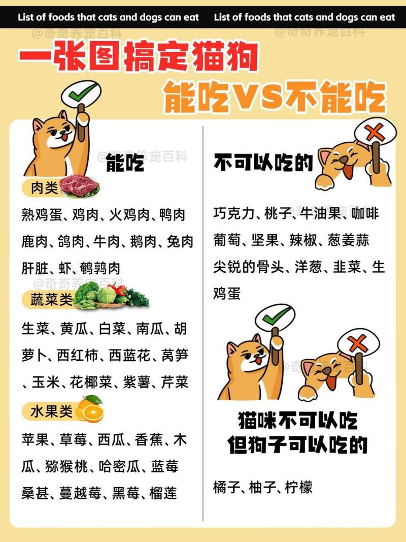 猫猫可以吃狗粮吗_猫可以吃狗粮狗可以吃猫粮吗-第4张图片-后鲨宠物