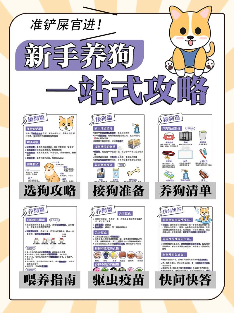 哪里可以免费领养狗狗,想免费领养一只狗-第4张图片-后鲨宠物 哪里可以免费领养狗狗,想免费领养一只狗-第4张图片-后鲨宠物