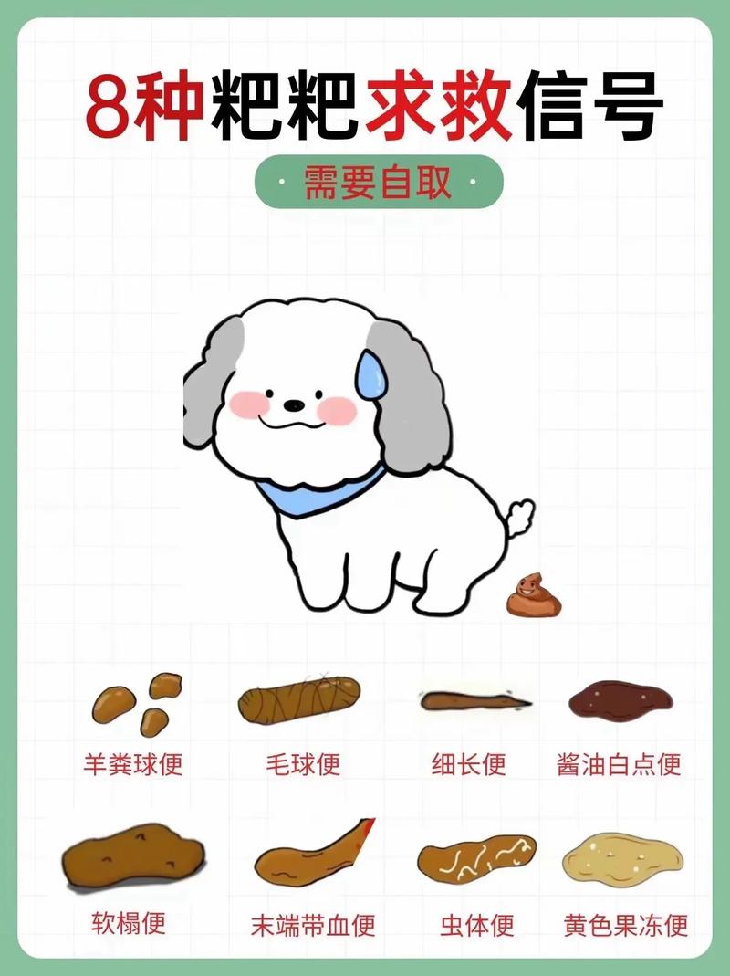 两个月狗狗拉稀怎么回事,两个月的狗狗拉稀粑粑正常吗?-第6张图片-后鲨宠物 两个月狗狗拉稀怎么回事,两个月的狗狗拉稀粑粑正常吗?-第6张图片-后鲨宠物