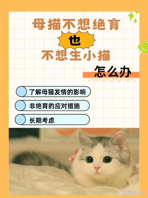 猫咪不绝育的危害,猫咪不绝育有什么好处-第1张图片-后鲨宠物 猫咪不绝育的危害,猫咪不绝育有什么好处-第1张图片-后鲨宠物