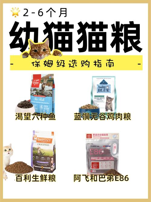 两个月大猫咪吃什么,两个月大猫咪吃什么食物-第1张图片-后鲨宠物 两个月大猫咪吃什么,两个月大猫咪吃什么食物-第1张图片-后鲨宠物