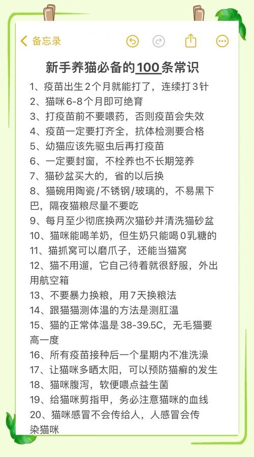 狗狗感冒会传染给猫吗,狗感冒可以传染给猫吗?-第6张图片-后鲨宠物 狗狗感冒会传染给猫吗,狗感冒可以传染给猫吗?-第6张图片-后鲨宠物