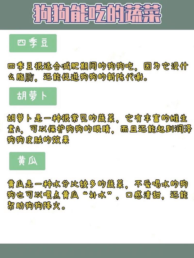 狗狗能吃四季豆吗_狗子能不能吃四季豆-第4张图片-后鲨宠物 狗狗能吃四季豆吗_狗子能不能吃四季豆-第4张图片-后鲨宠物