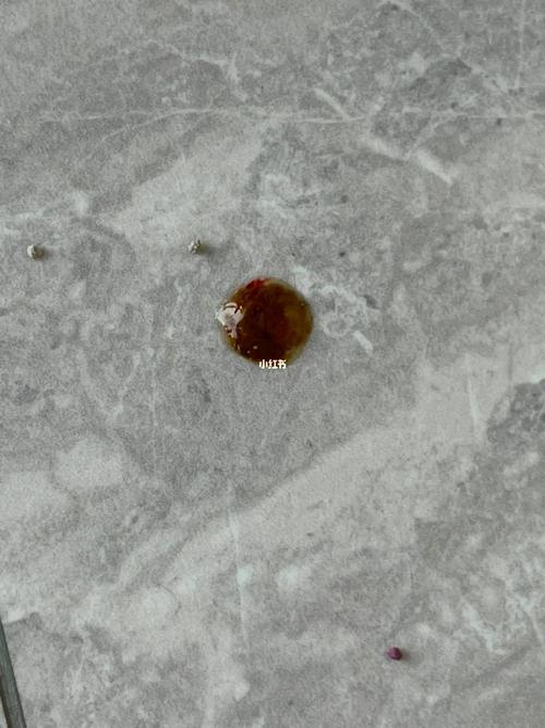 猫咪拉血怎么回事_猫咪拉血尿怎么回事-第2张图片-后鲨宠物 猫咪拉血怎么回事_猫咪拉血尿怎么回事-第2张图片-后鲨宠物