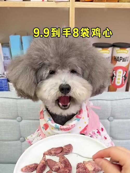 狗狗能吃鸡心吗,小狗能吃鸡肉吗?-第3张图片-后鲨宠物 狗狗能吃鸡心吗,小狗能吃鸡肉吗?-第3张图片-后鲨宠物