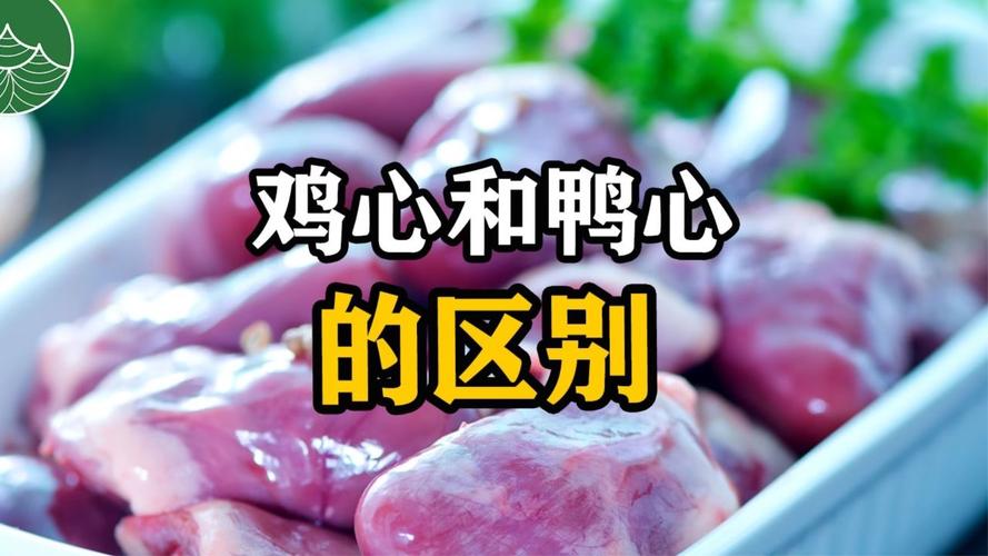 狗狗能吃鸡心吗,小狗能吃鸡肉吗?-第4张图片-后鲨宠物 狗狗能吃鸡心吗,小狗能吃鸡肉吗?-第4张图片-后鲨宠物