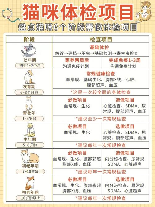 猫咪抗体检查多少钱,猫咪做抗体检查多少钱-第2张图片-后鲨宠物 猫咪抗体检查多少钱,猫咪做抗体检查多少钱-第2张图片-后鲨宠物