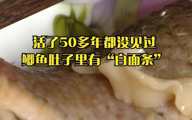 狗狗能吃鲫鱼吗,小狗能不能吃鲫鱼-第1张图片-后鲨宠物 狗狗能吃鲫鱼吗,小狗能不能吃鲫鱼-第1张图片-后鲨宠物