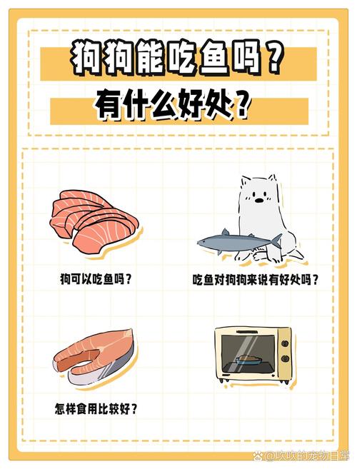 狗狗能吃鲫鱼吗,小狗能不能吃鲫鱼-第3张图片-后鲨宠物 狗狗能吃鲫鱼吗,小狗能不能吃鲫鱼-第3张图片-后鲨宠物