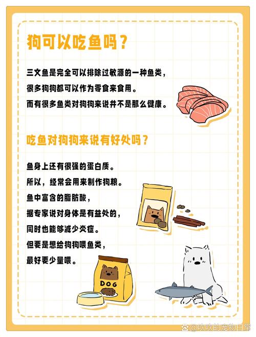 狗狗能吃鲫鱼吗,小狗能不能吃鲫鱼-第6张图片-后鲨宠物 狗狗能吃鲫鱼吗,小狗能不能吃鲫鱼-第6张图片-后鲨宠物