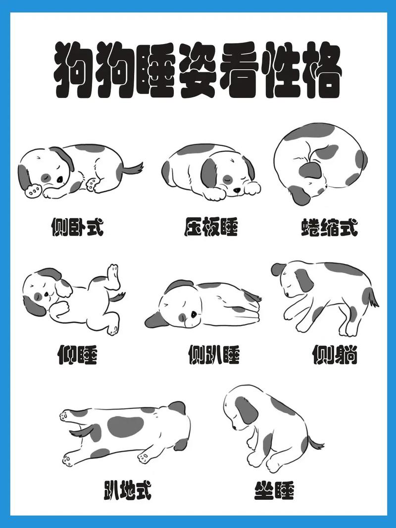 冬天狗狗睡外面会冷吗,冬天小狗睡在外面会冷吗-第2张图片-后鲨宠物 冬天狗狗睡外面会冷吗,冬天小狗睡在外面会冷吗-第2张图片-后鲨宠物