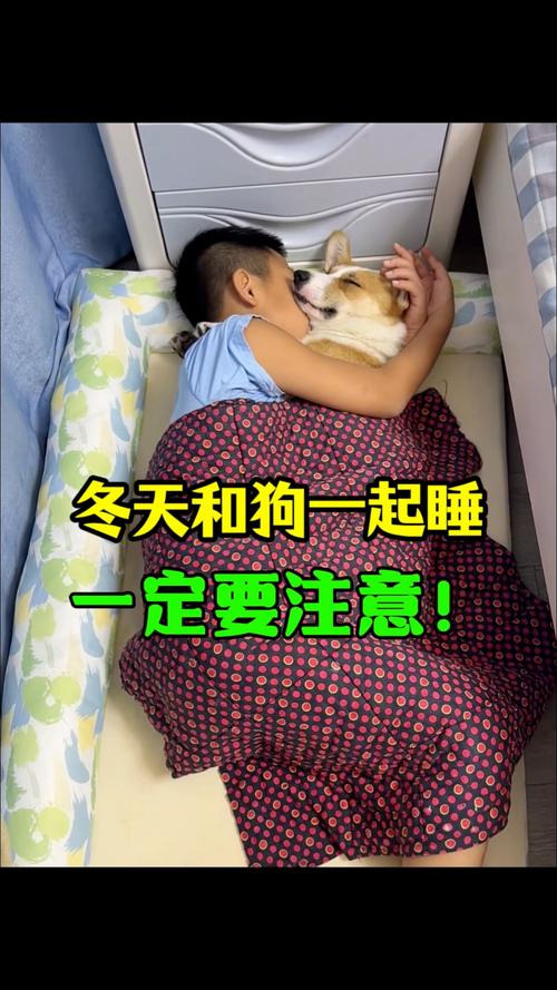 冬天狗狗睡外面会冷吗,冬天小狗睡在外面会冷吗-第3张图片-后鲨宠物 冬天狗狗睡外面会冷吗,冬天小狗睡在外面会冷吗-第3张图片-后鲨宠物