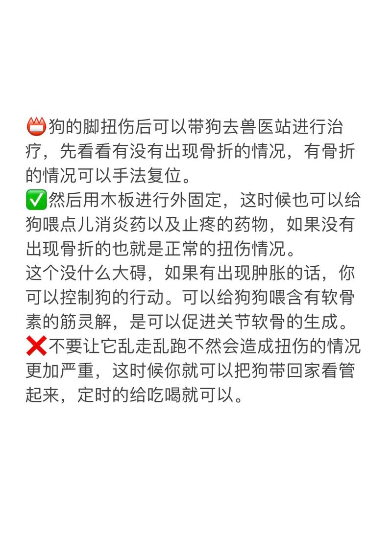 狗狗脚扭伤了怎么办,狗狗腿扭伤了怎么办-第5张图片-后鲨宠物 狗狗脚扭伤了怎么办,狗狗腿扭伤了怎么办-第5张图片-后鲨宠物