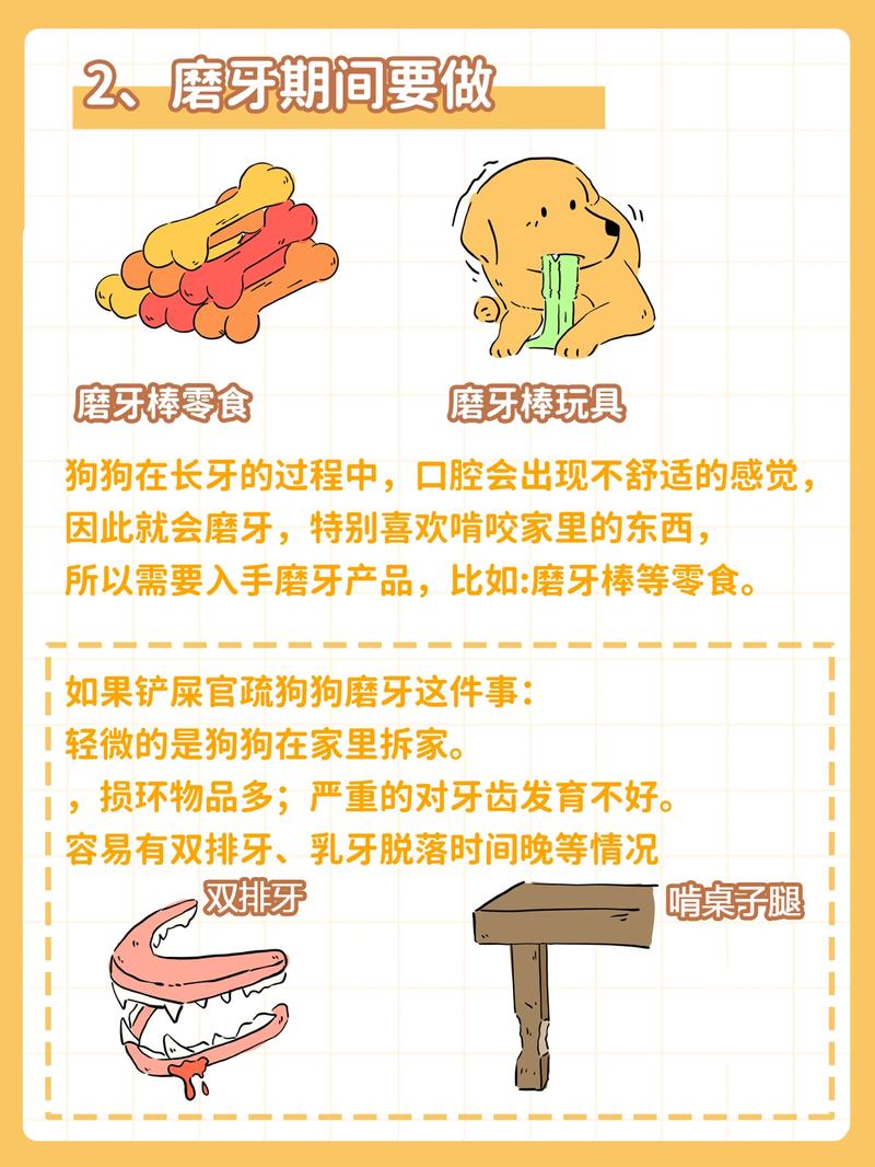 狗狗多大开始磨牙,狗狗几个月开始认主人?-第1张图片-后鲨宠物 狗狗多大开始磨牙,狗狗几个月开始认主人?-第1张图片-后鲨宠物