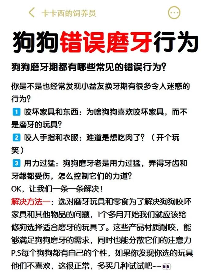 狗狗多大开始磨牙,狗狗几个月开始认主人?-第2张图片-后鲨宠物 狗狗多大开始磨牙,狗狗几个月开始认主人?-第2张图片-后鲨宠物