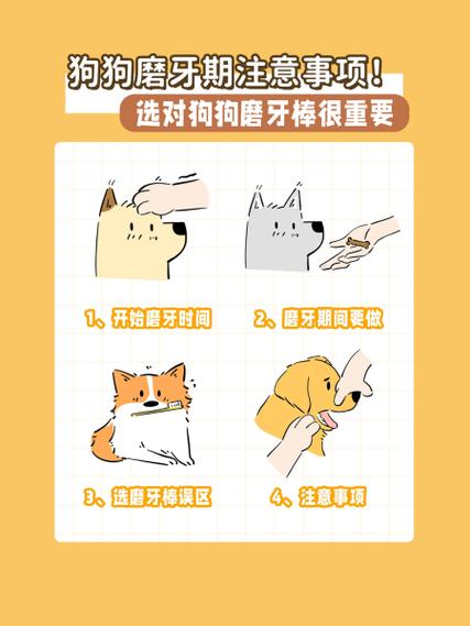 狗狗多大开始磨牙,狗狗几个月开始认主人?-第4张图片-后鲨宠物 狗狗多大开始磨牙,狗狗几个月开始认主人?-第4张图片-后鲨宠物