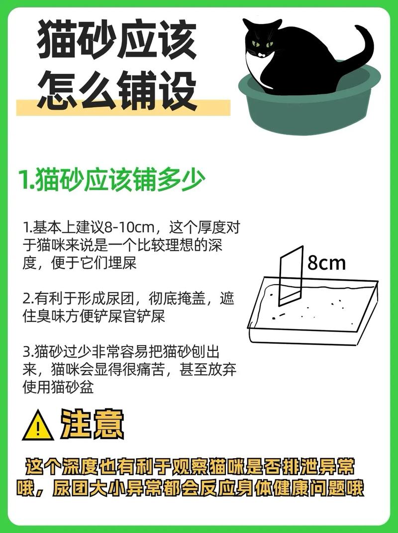 怎么教猫咪用猫砂,怎么教给猫咪用猫砂-第4张图片-后鲨宠物 怎么教猫咪用猫砂,怎么教给猫咪用猫砂-第4张图片-后鲨宠物