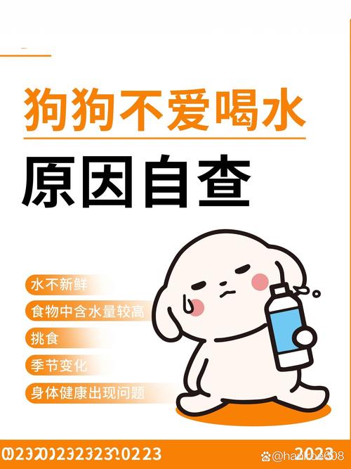 狗狗不喜欢喝水怎么办,狗狗不喜欢喝水怎么办呢?-第1张图片-后鲨宠物 狗狗不喜欢喝水怎么办,狗狗不喜欢喝水怎么办呢?-第1张图片-后鲨宠物