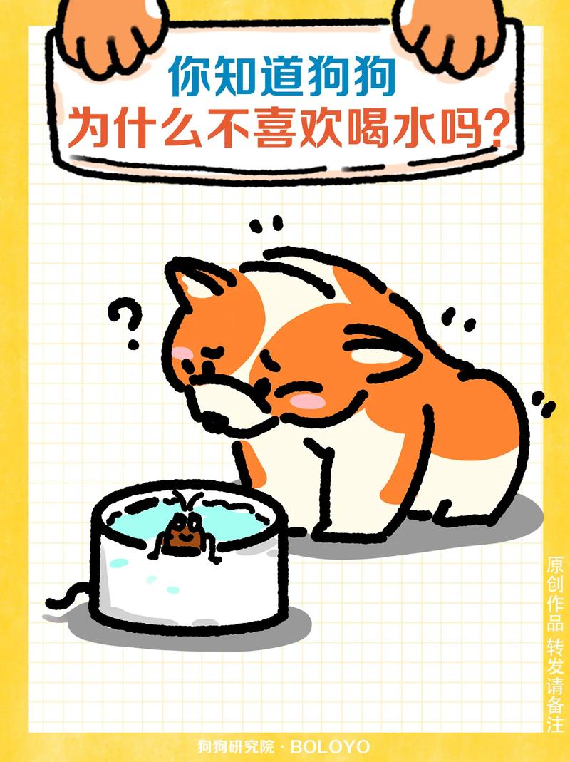 狗狗不喜欢喝水怎么办,狗狗不喜欢喝水怎么办呢?-第3张图片-后鲨宠物 狗狗不喜欢喝水怎么办,狗狗不喜欢喝水怎么办呢?-第3张图片-后鲨宠物