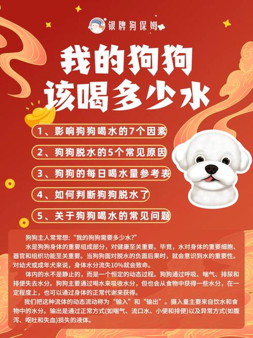 狗狗不喜欢喝水怎么办,狗狗不喜欢喝水怎么办呢?-第4张图片-后鲨宠物 狗狗不喜欢喝水怎么办,狗狗不喜欢喝水怎么办呢?-第4张图片-后鲨宠物