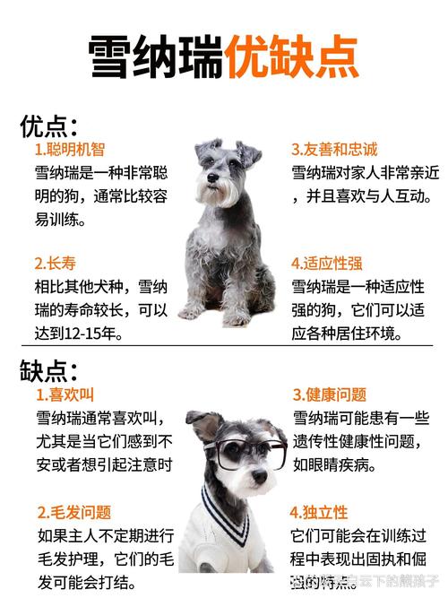 狗狗不喜欢喝水怎么办,狗狗不喜欢喝水怎么办呢?-第5张图片-后鲨宠物 狗狗不喜欢喝水怎么办,狗狗不喜欢喝水怎么办呢?-第5张图片-后鲨宠物