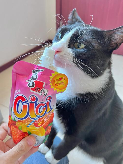猫咪可以吃果冻吗_猫能吃果冻吗-第1张图片-后鲨宠物 猫咪可以吃果冻吗_猫能吃果冻吗-第1张图片-后鲨宠物