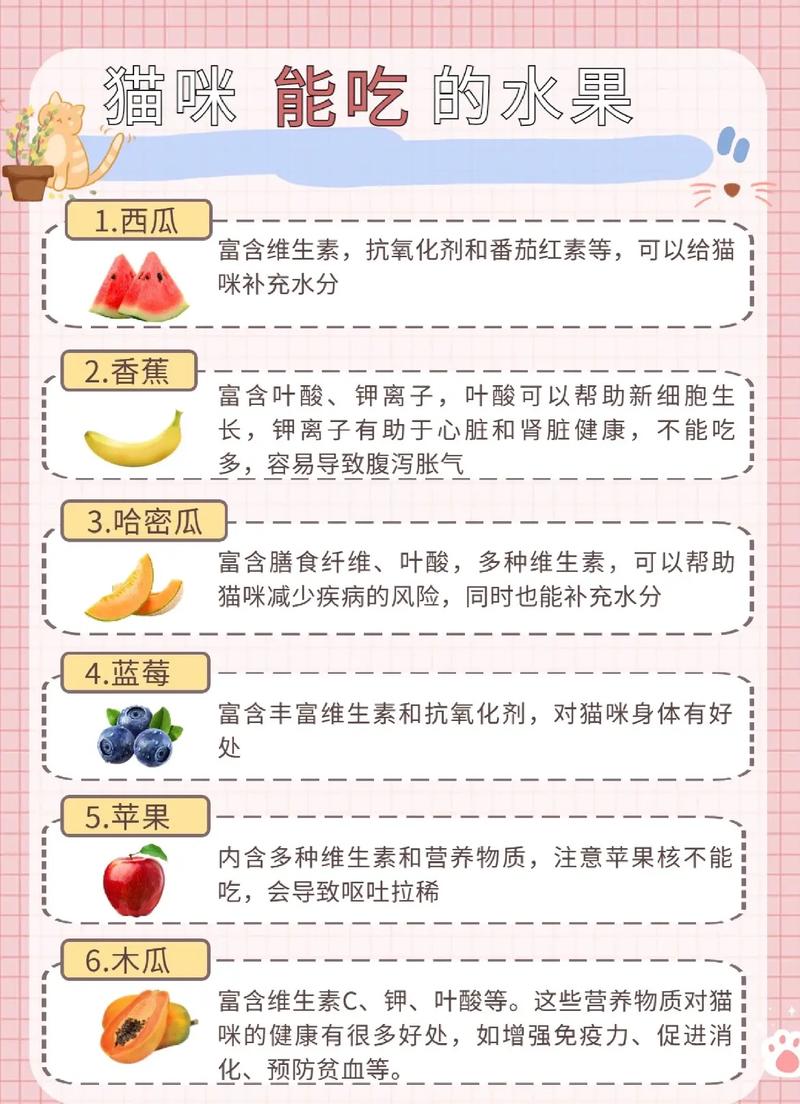 猫咪可以吃果冻吗_猫能吃果冻吗-第4张图片-后鲨宠物 猫咪可以吃果冻吗_猫能吃果冻吗-第4张图片-后鲨宠物