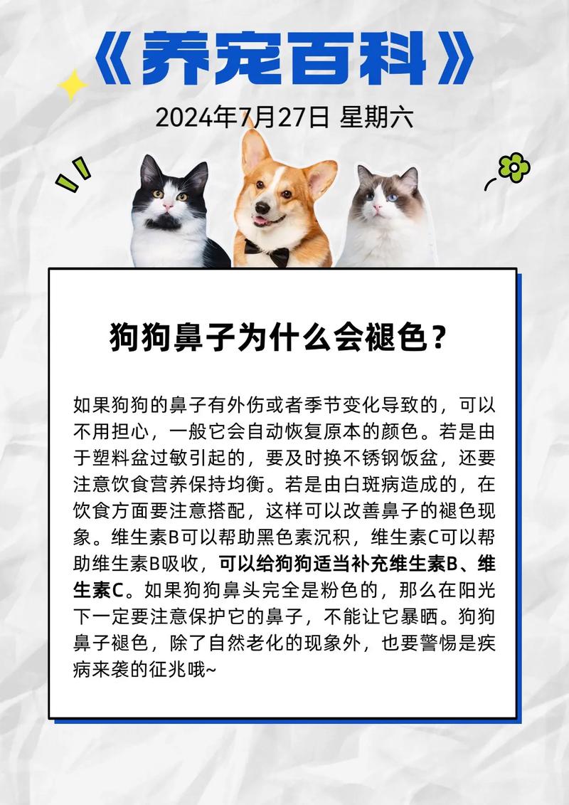 狗狗鼻息肉症状,狗狗鼻息肉症状表现-第1张图片-后鲨宠物 狗狗鼻息肉症状,狗狗鼻息肉症状表现-第1张图片-后鲨宠物