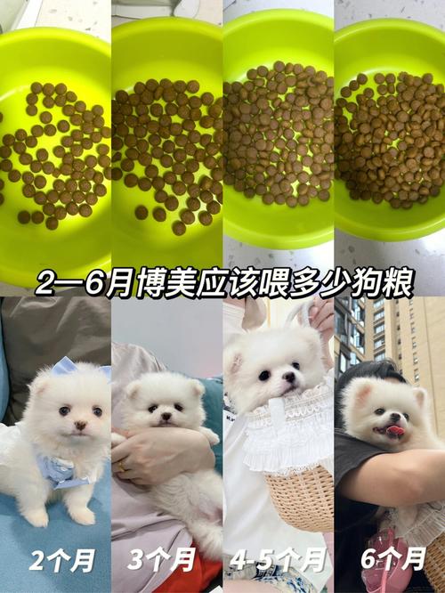 狗狗拉不出来屎怎么办,狗狗拉不出来屎怎么办吃什么药-第5张图片-后鲨宠物 狗狗拉不出来屎怎么办,狗狗拉不出来屎怎么办吃什么药-第5张图片-后鲨宠物