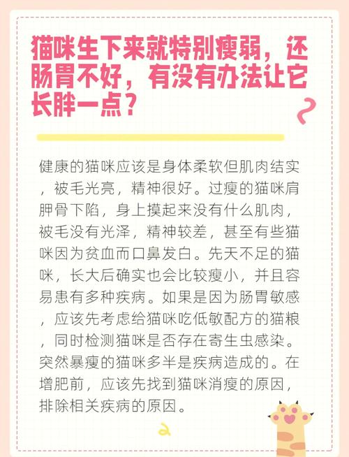 猫咪食量减少怎么回事,猫咪食量下降-第5张图片-后鲨宠物 猫咪食量减少怎么回事,猫咪食量下降-第5张图片-后鲨宠物