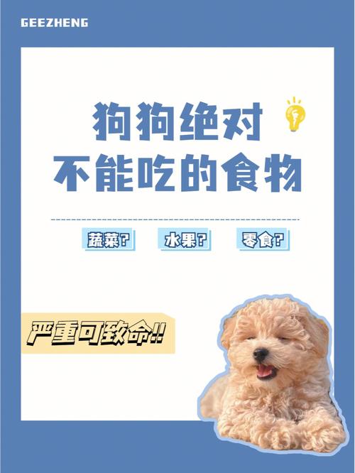 狗狗可以吃豆子吗,狗狗可以吃豆类吗-第3张图片-后鲨宠物 狗狗可以吃豆子吗,狗狗可以吃豆类吗-第3张图片-后鲨宠物