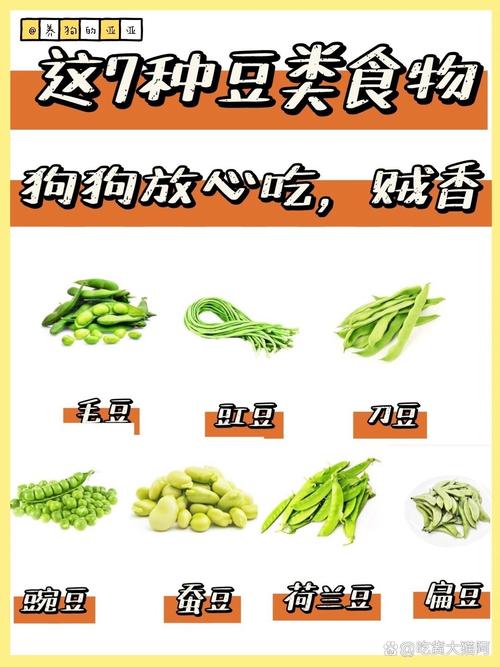 狗狗可以吃豆子吗,狗狗可以吃豆类吗-第4张图片-后鲨宠物 狗狗可以吃豆子吗,狗狗可以吃豆类吗-第4张图片-后鲨宠物
