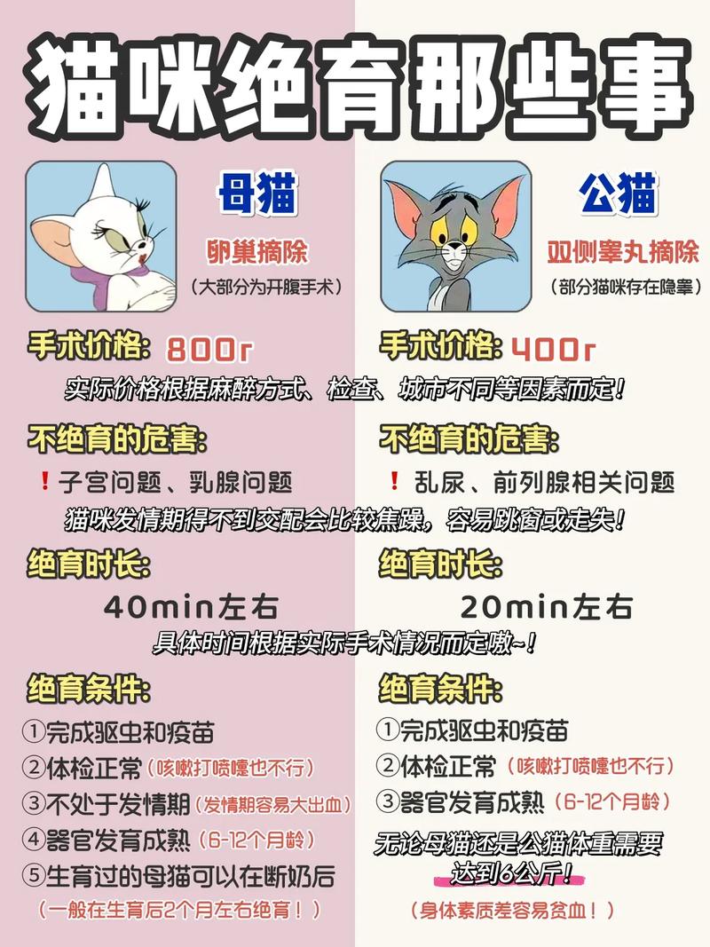 猫咪绝育要多少钱,猫咪绝育要多少钱母猫-第5张图片-后鲨宠物 猫咪绝育要多少钱,猫咪绝育要多少钱母猫-第5张图片-后鲨宠物
