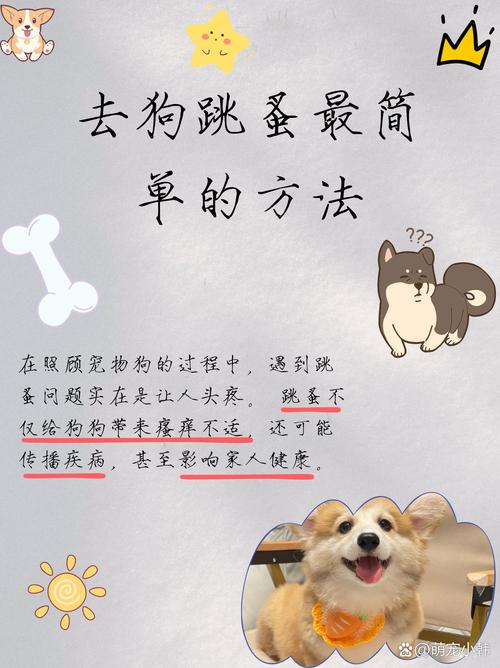 怎样去狗狗身上的跳蚤,怎么样去掉狗狗身上的跳蚤?-第3张图片-后鲨宠物 怎样去狗狗身上的跳蚤,怎么样去掉狗狗身上的跳蚤?-第3张图片-后鲨宠物