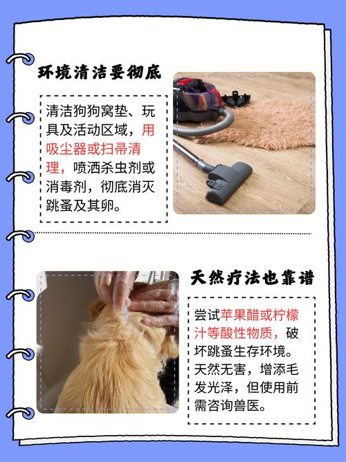 怎样去狗狗身上的跳蚤,怎么样去掉狗狗身上的跳蚤?-第4张图片-后鲨宠物 怎样去狗狗身上的跳蚤,怎么样去掉狗狗身上的跳蚤?-第4张图片-后鲨宠物