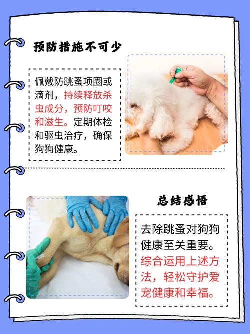 怎样去狗狗身上的跳蚤,怎么样去掉狗狗身上的跳蚤?-第5张图片-后鲨宠物 怎样去狗狗身上的跳蚤,怎么样去掉狗狗身上的跳蚤?-第5张图片-后鲨宠物