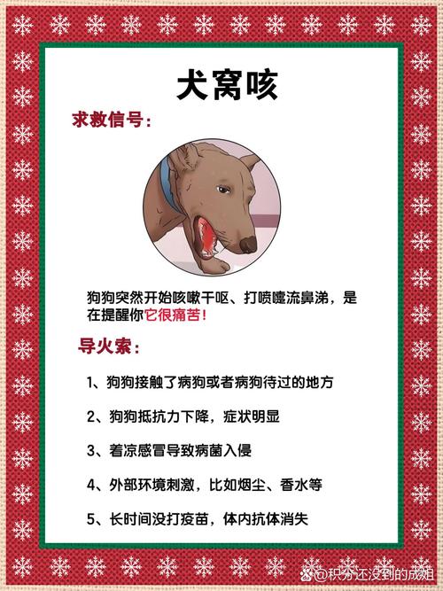 狗狗呕吐咳嗽怎么回事_狗狗吐咳嗽是什么原因-第5张图片-后鲨宠物 狗狗呕吐咳嗽怎么回事_狗狗吐咳嗽是什么原因-第5张图片-后鲨宠物