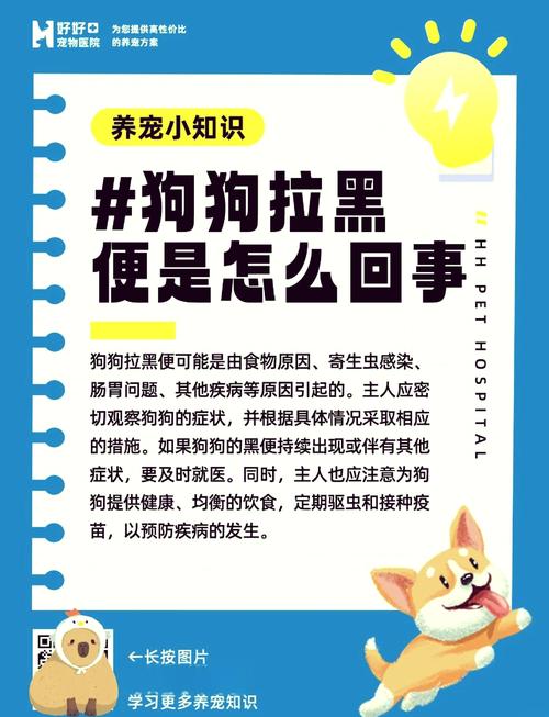 狗狗便便黑色正常吗,狗狗便便黑色正常吗怎么回事?-第3张图片-后鲨宠物 狗狗便便黑色正常吗,狗狗便便黑色正常吗怎么回事?-第3张图片-后鲨宠物