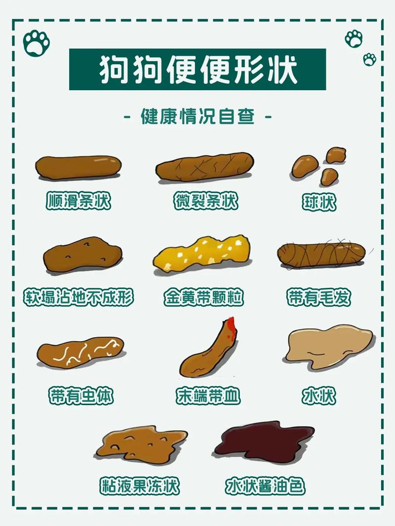狗狗便便黑色正常吗,狗狗便便黑色正常吗怎么回事?-第4张图片-后鲨宠物 狗狗便便黑色正常吗,狗狗便便黑色正常吗怎么回事?-第4张图片-后鲨宠物